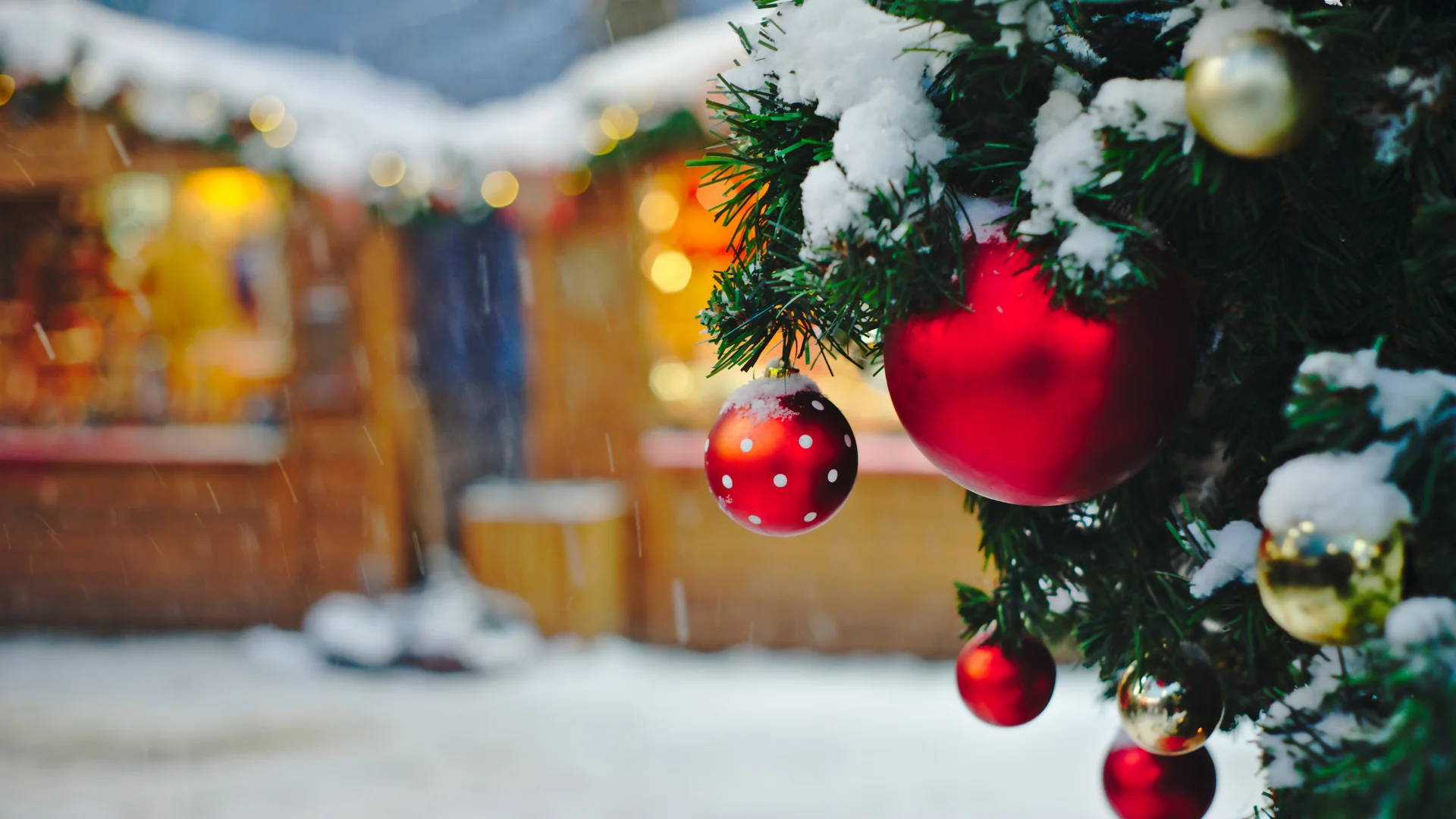 Detailbild schneebedeckte Tanne mit Christbaumkugeln
