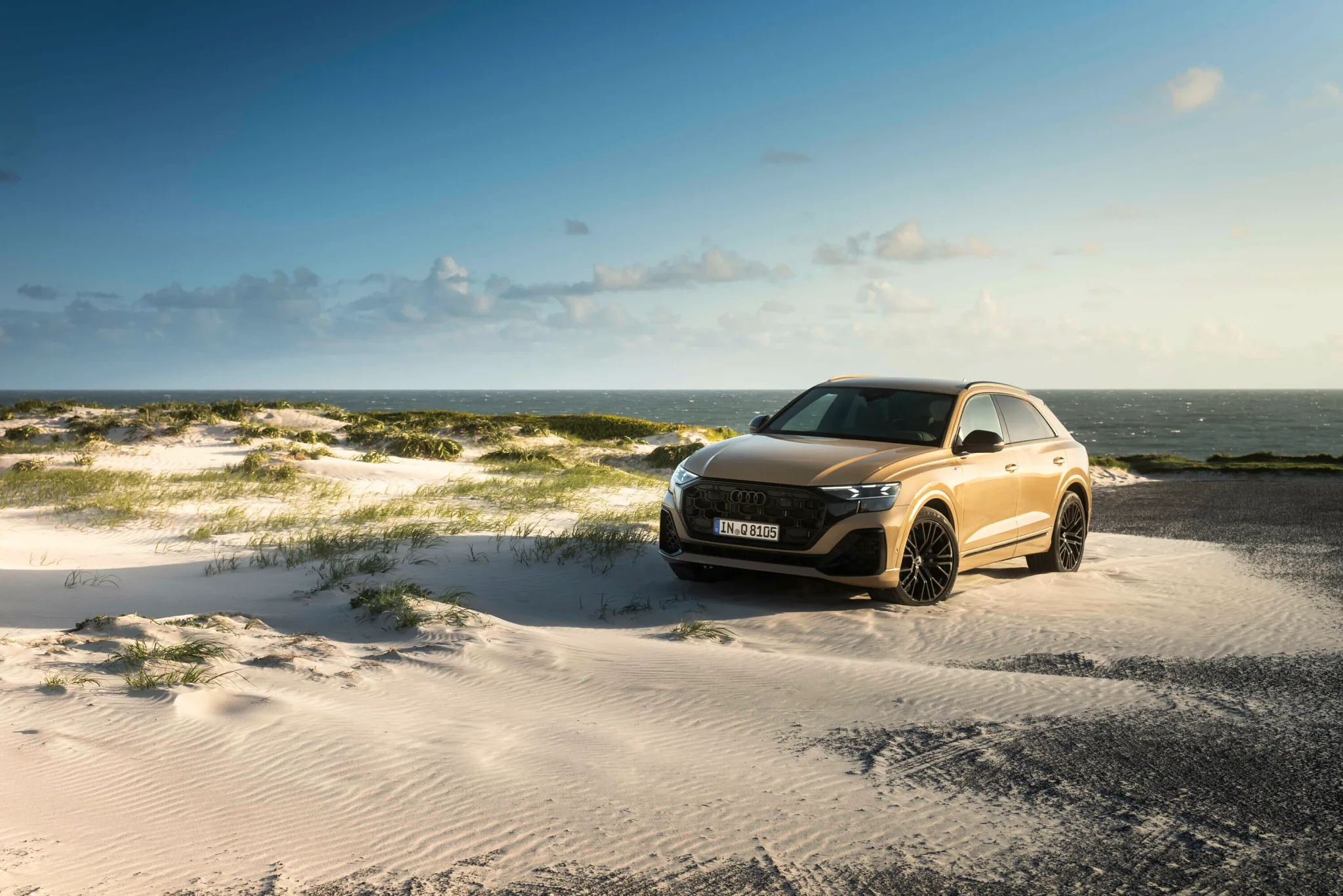 Audi Q8 SUV