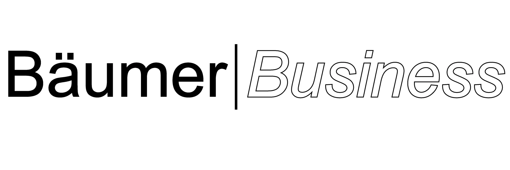 Schriftzug Bäumer Business