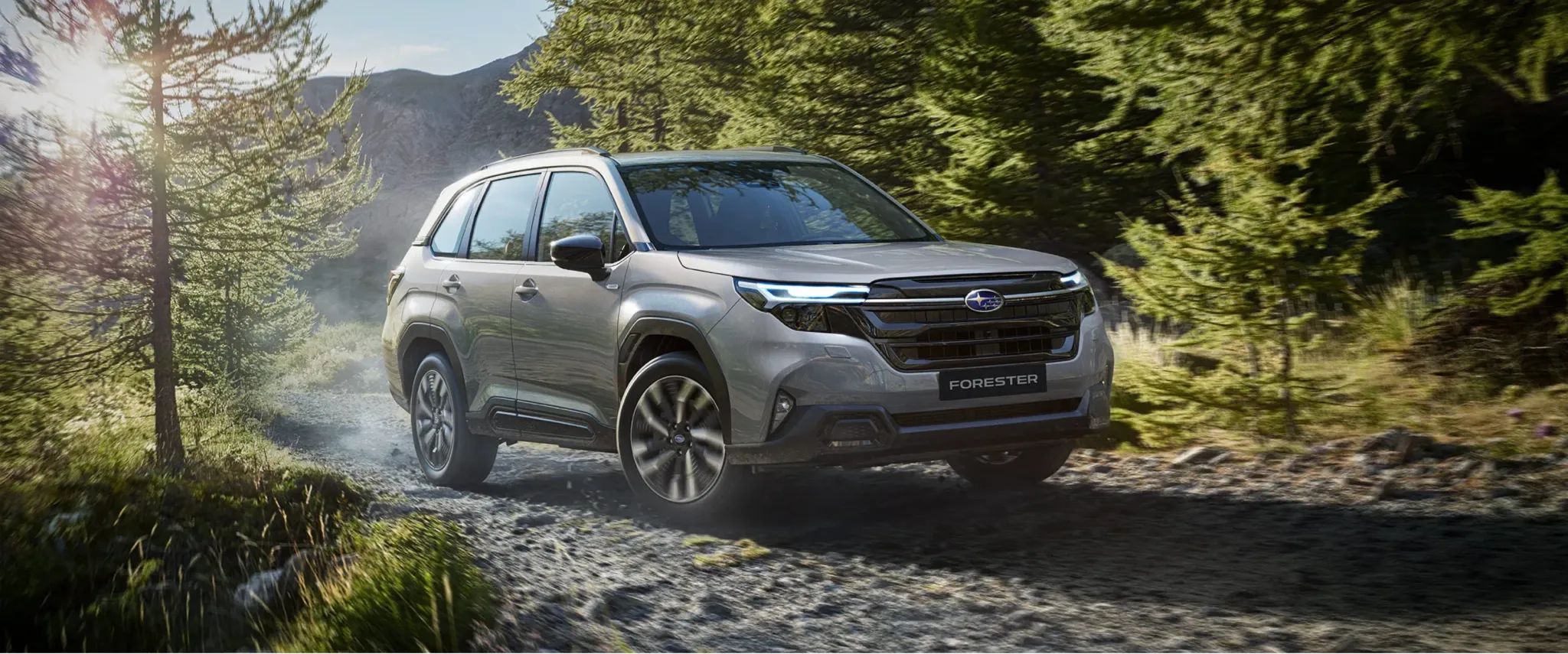 Silberner Subaru Forester fährt auf Schotterweg durch dichten Wald.