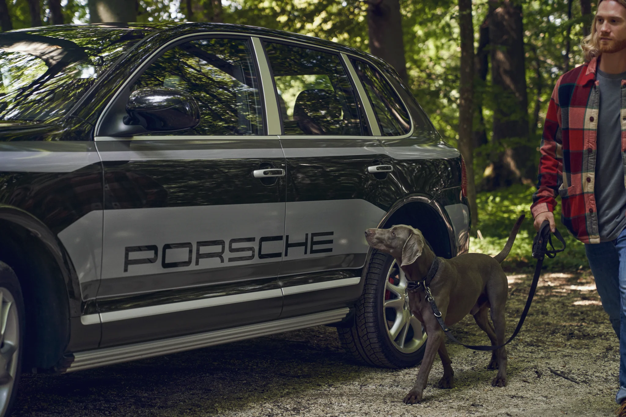 Porsche Gebrauchtwagen