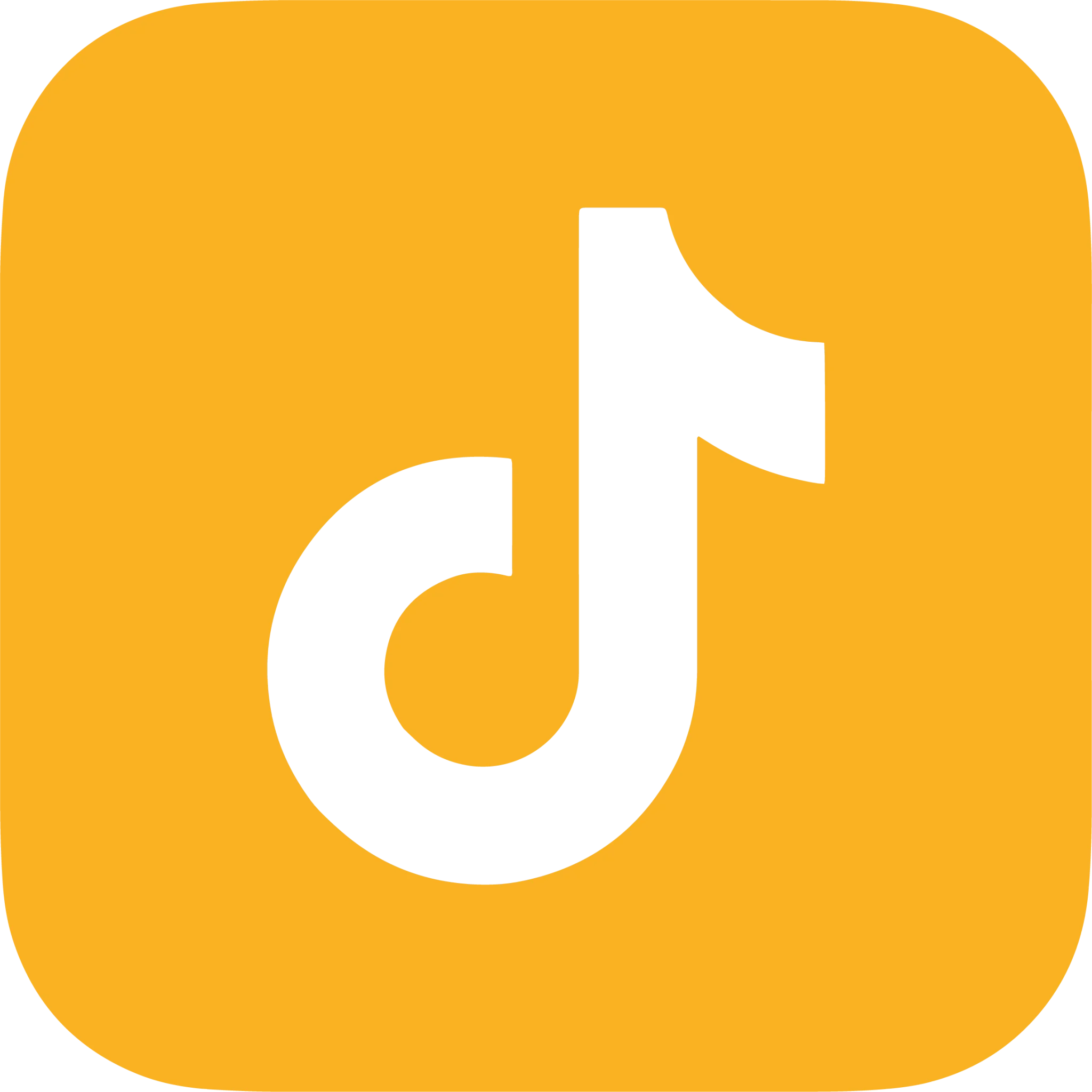 TikTok web.png