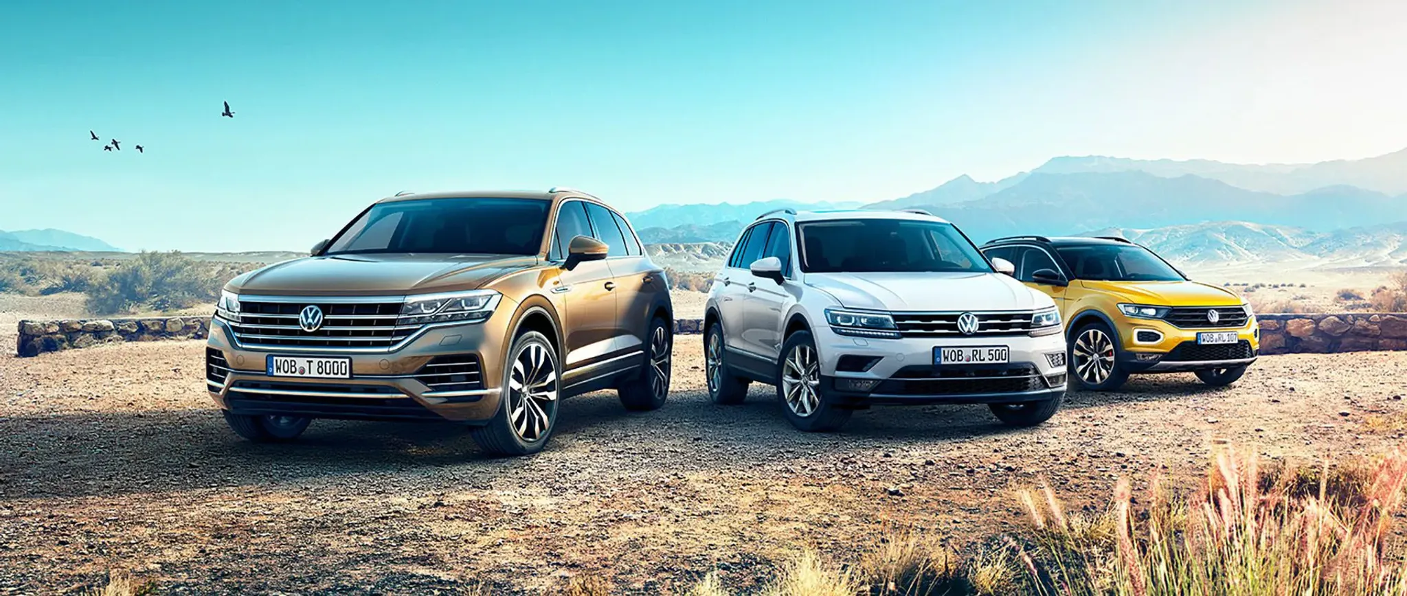 VW2089-SUV_Range