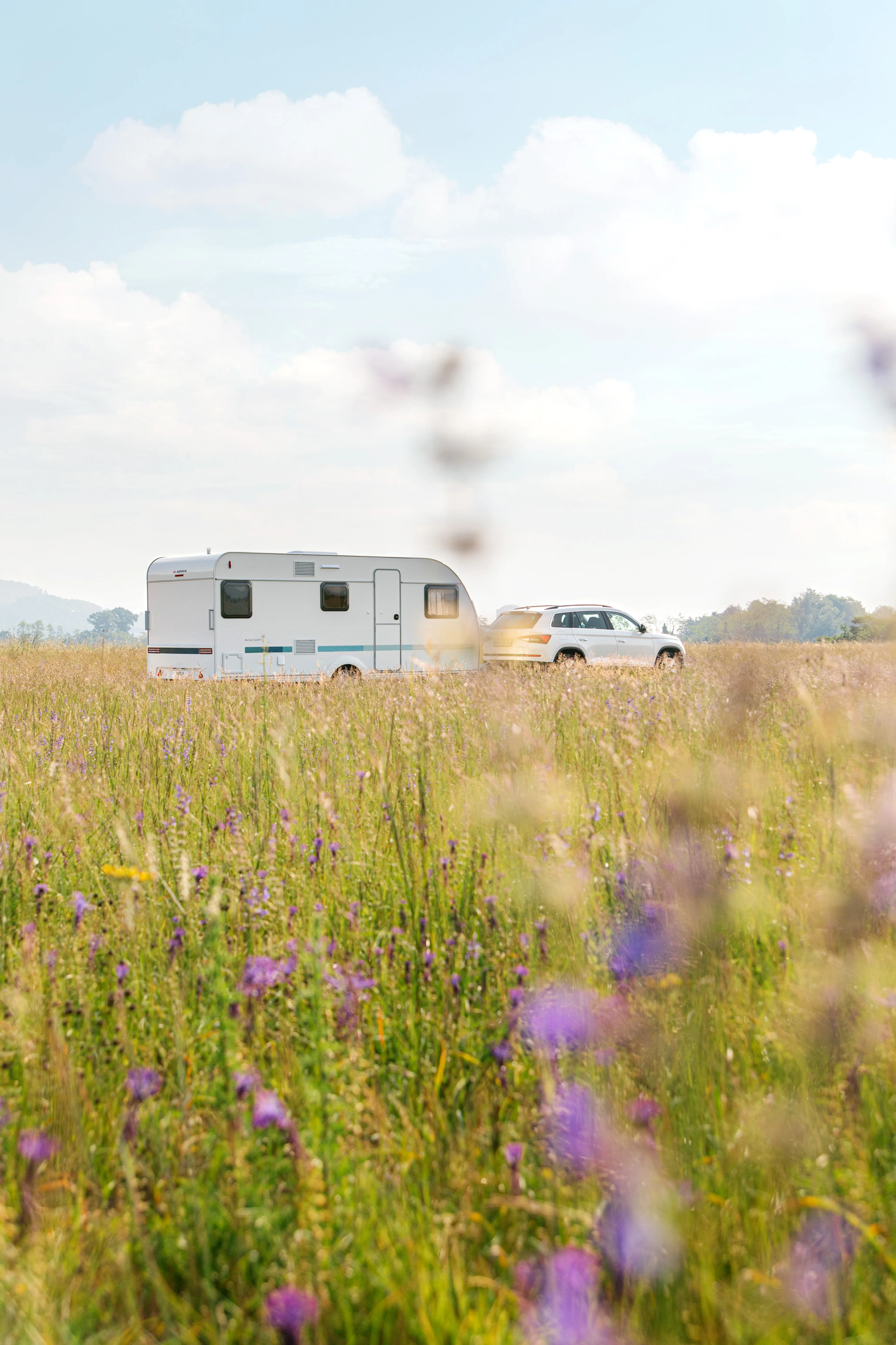 Wiese mit Blumen und einem Adria Aviva im Hintergrund