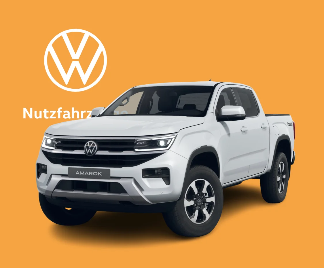Amarok Gewerbe (2).png