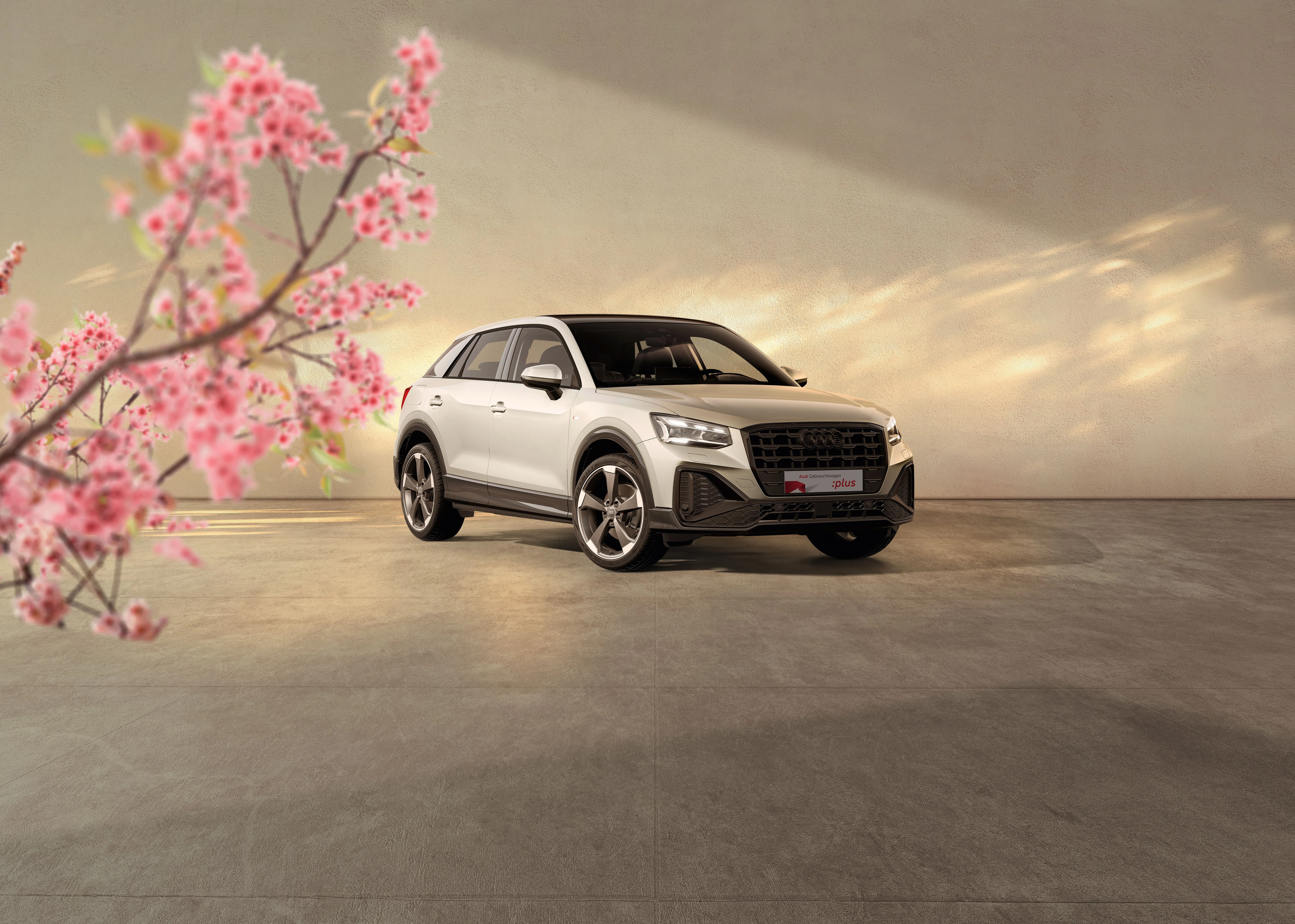 audi-q2-kachel (1).jpg