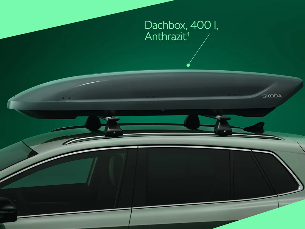 Bachbox Skoda.jpg