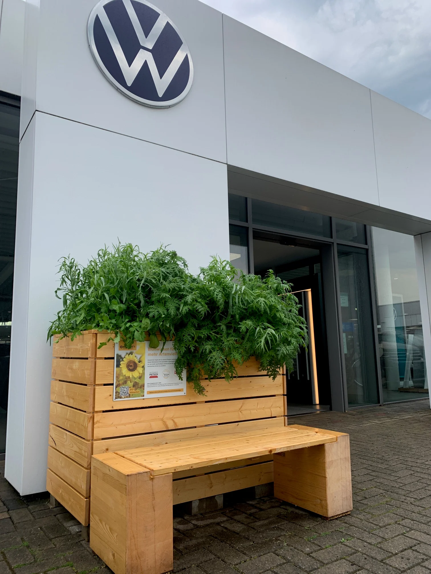 Blumenbeete am Autohaus Pietsch