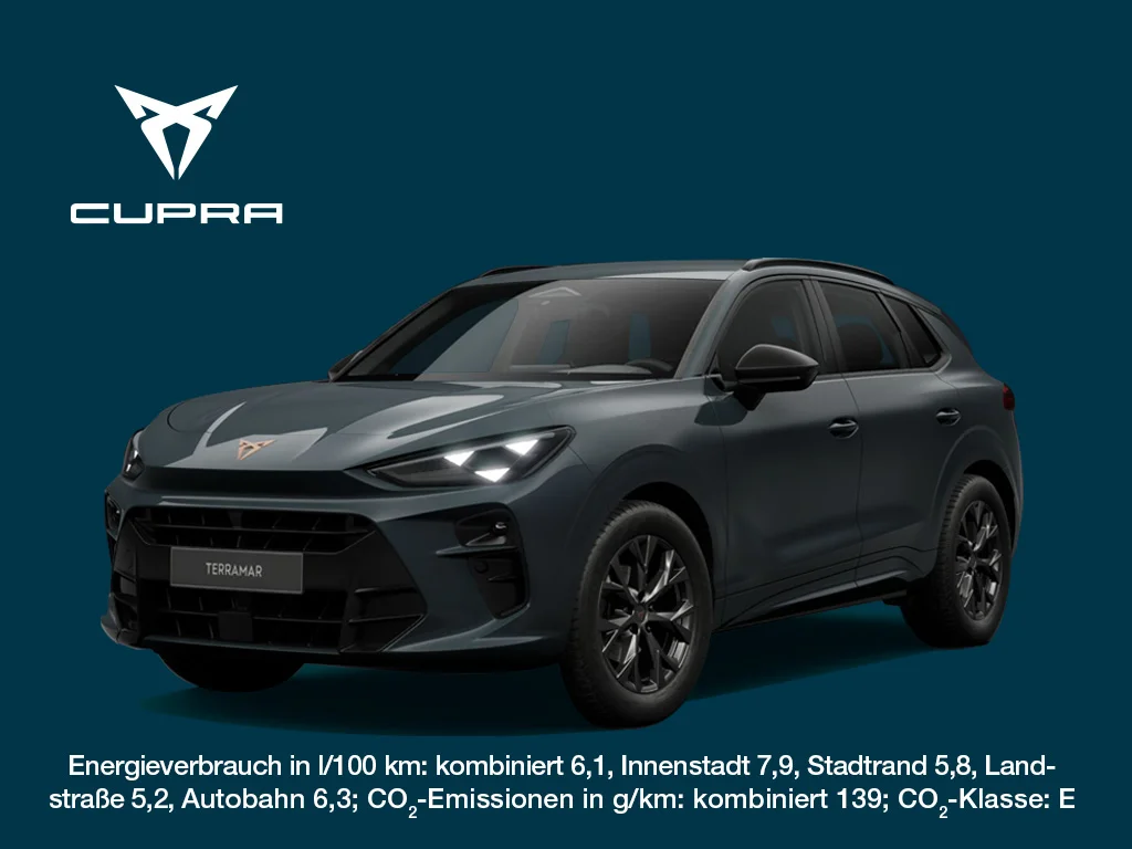 CUPRA Terramar 1024x768px ohne Kraftstoff (2).jpg