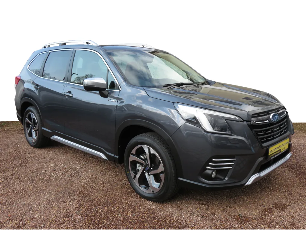 Subaru Forster in grau aufgenommen von vorne rechts