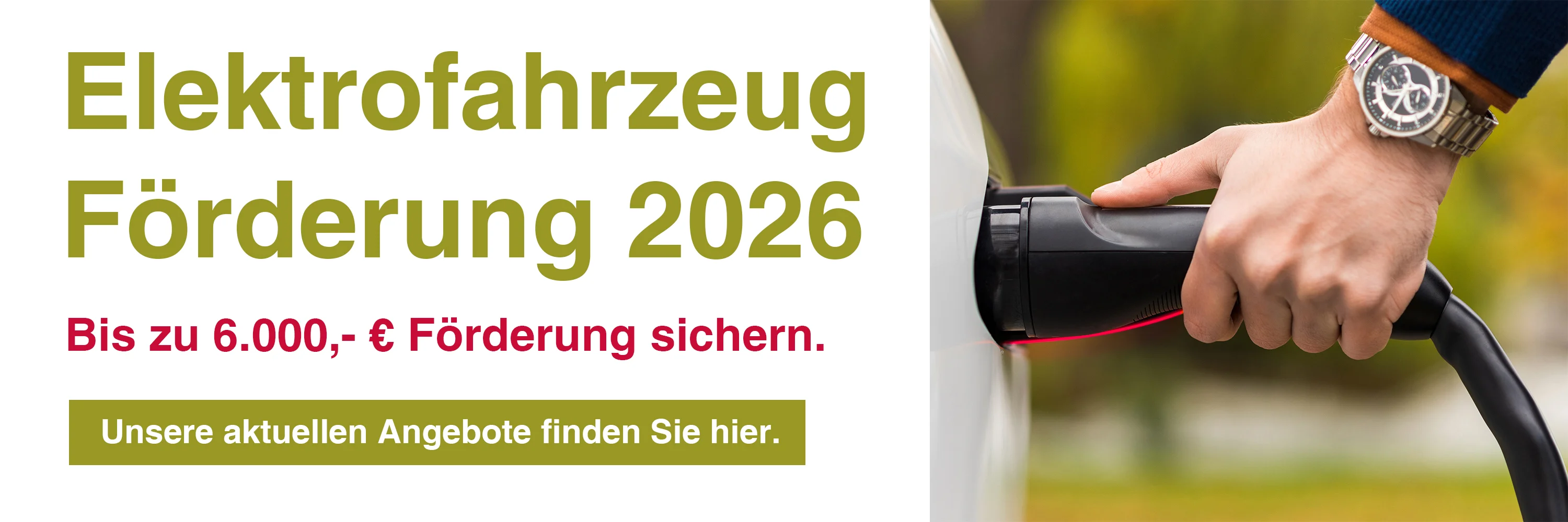 Header E Auto Förderung.jpg