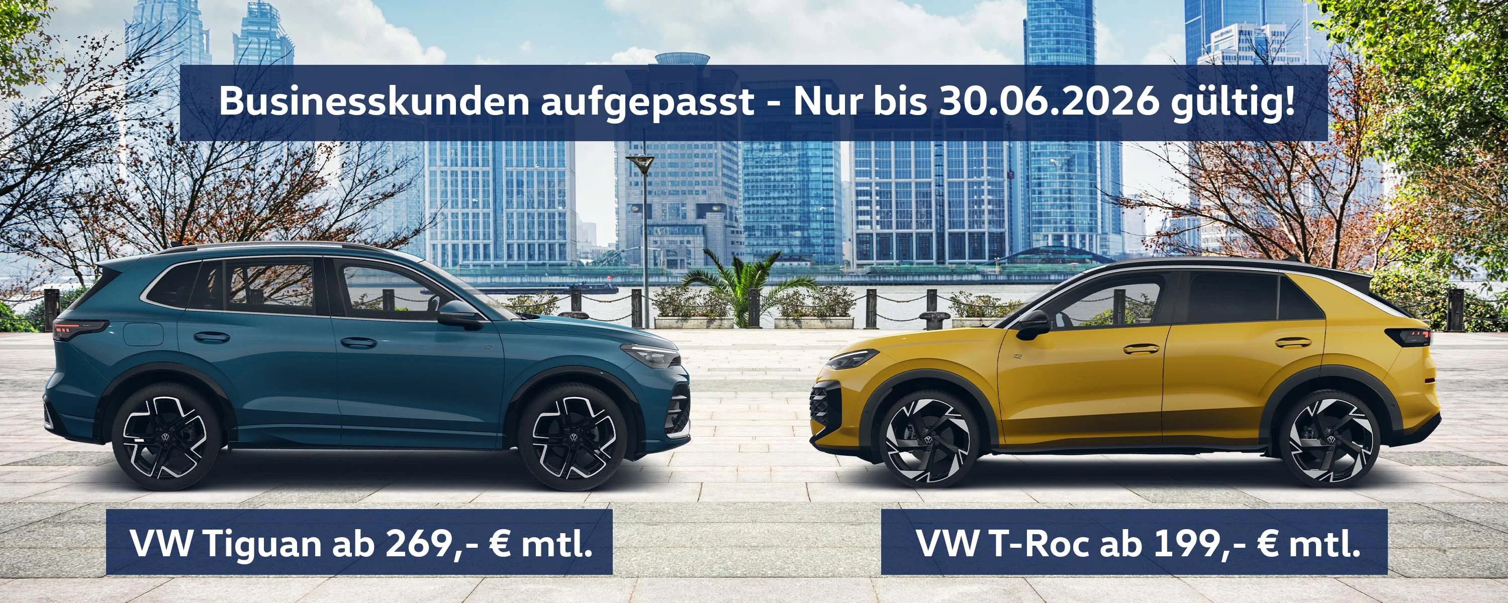 Header Website VW PC.jpg