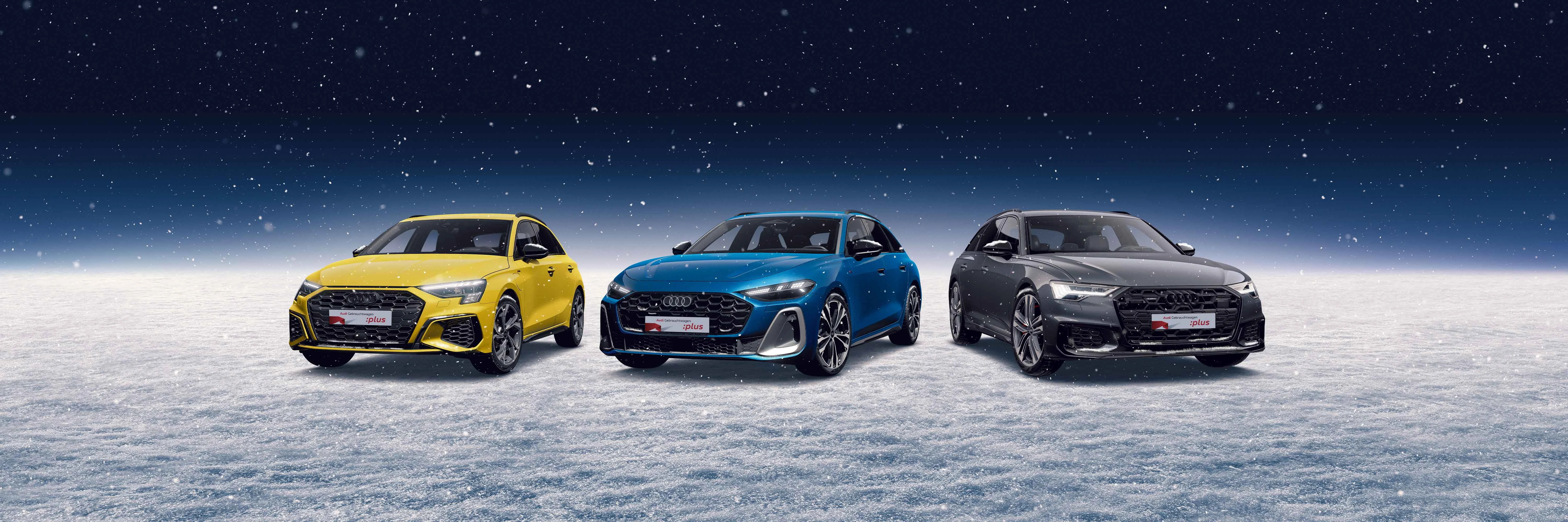 Header Winterleasing.jpg