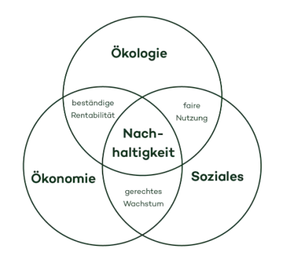 Schnittmengendiagramm