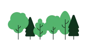 Spessartbaum Zeichnung 2