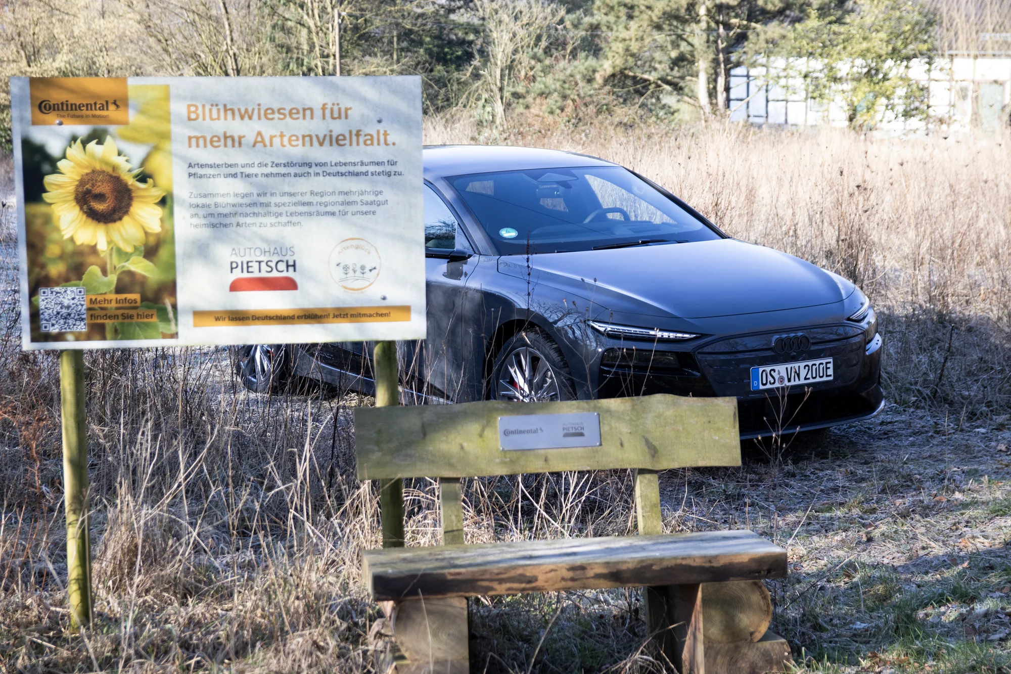Audi A6 e-tron im Winter bei der Blühwiese