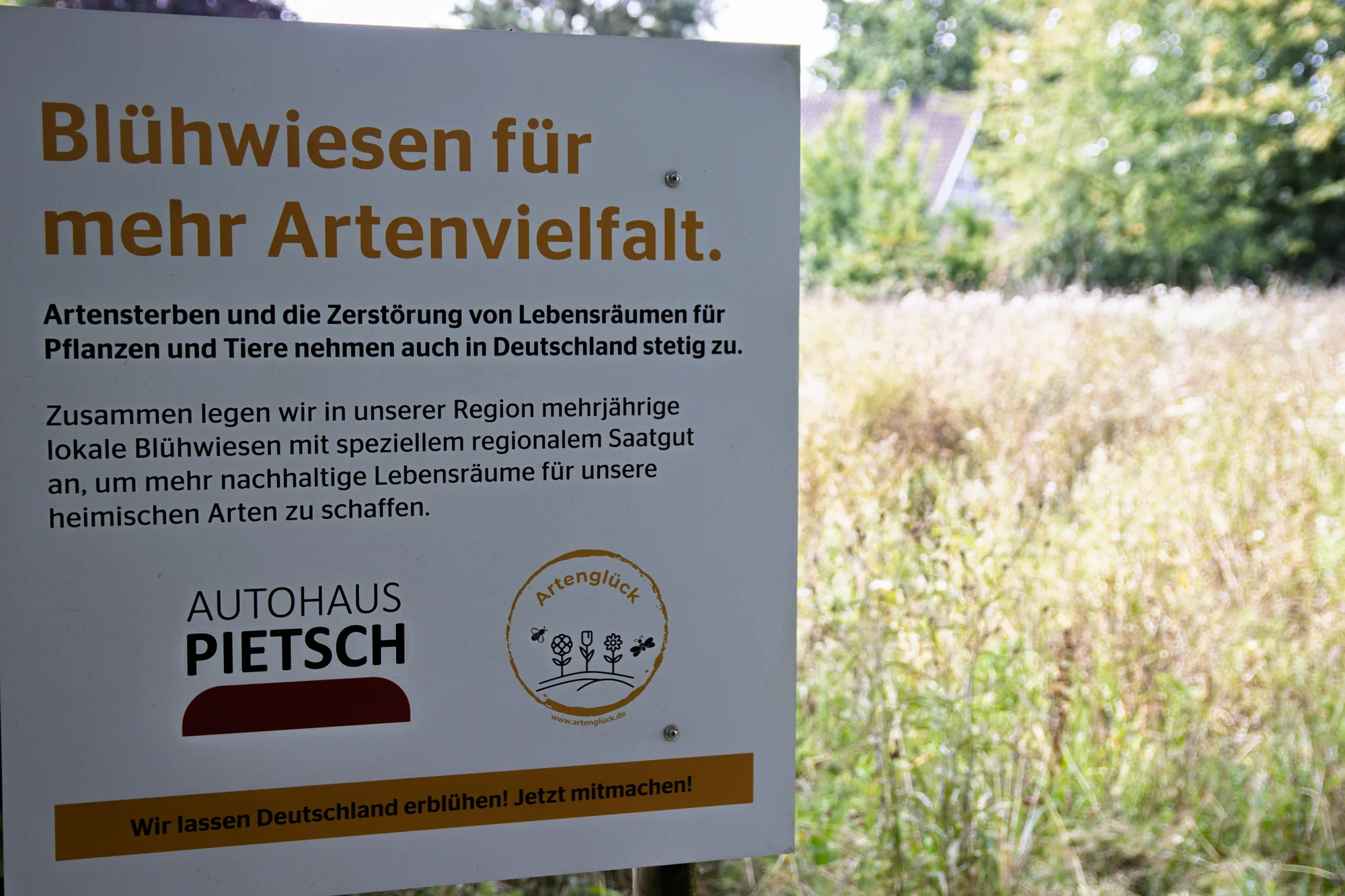 Infotafel über das Projekt Blühwiese