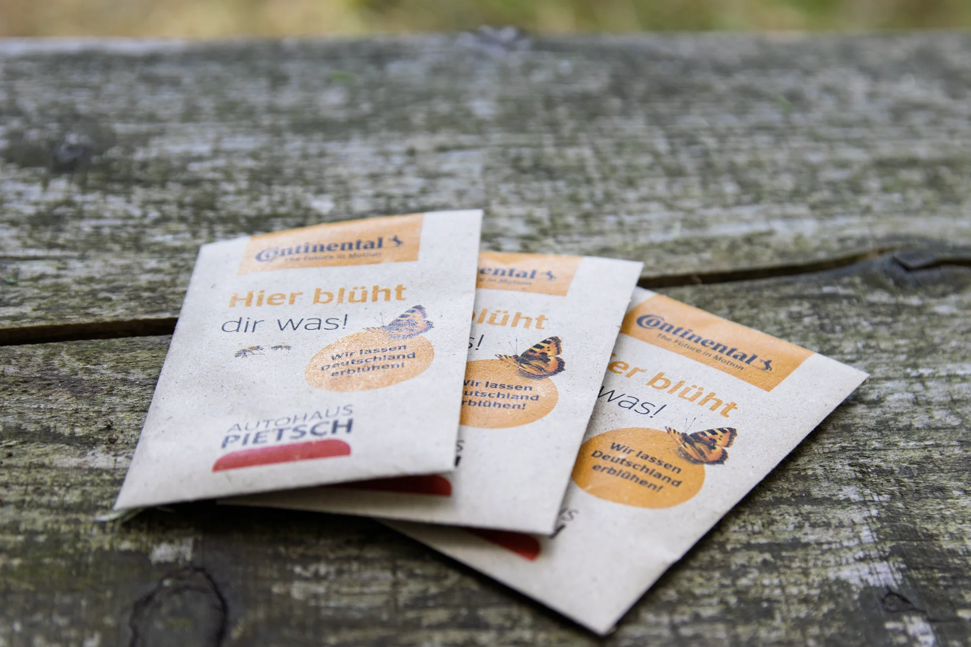 Drei Samentüten für Wildblumen