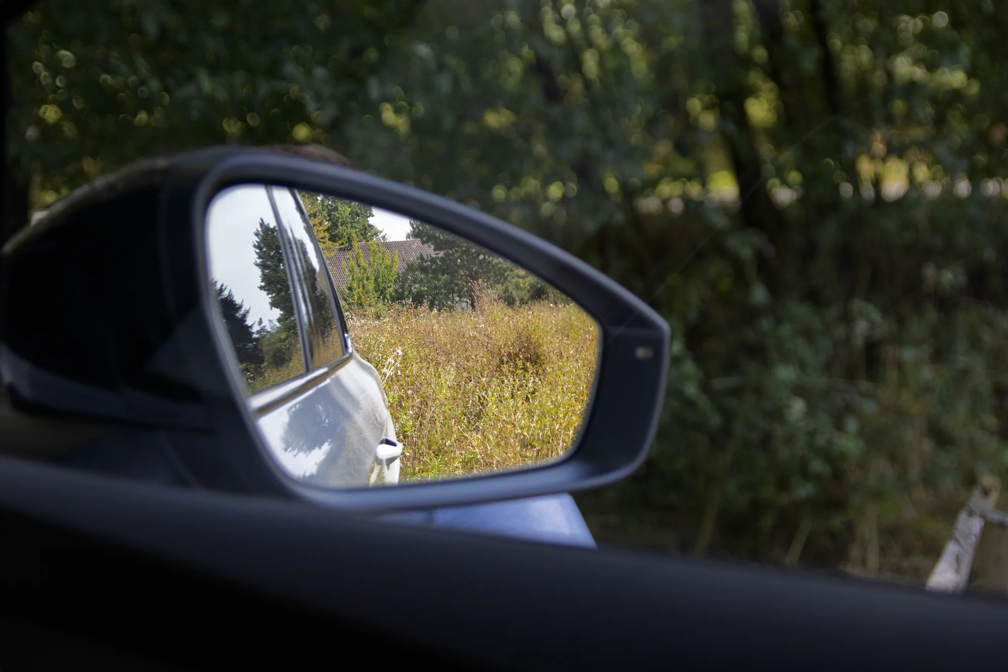Blick durch den Außenspiegel auf die Blühwiese