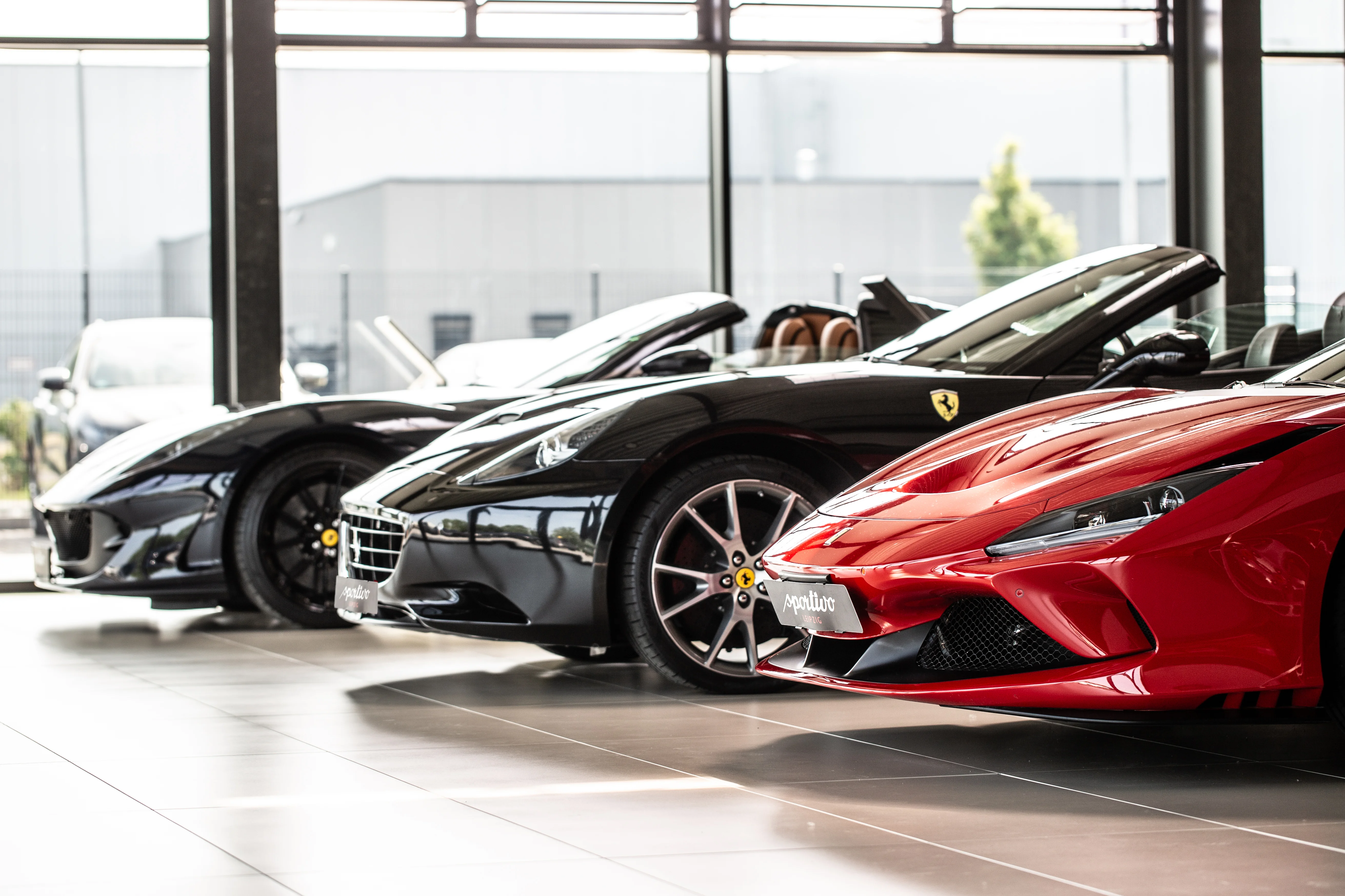 IMG_9896-mit Logo.jpg