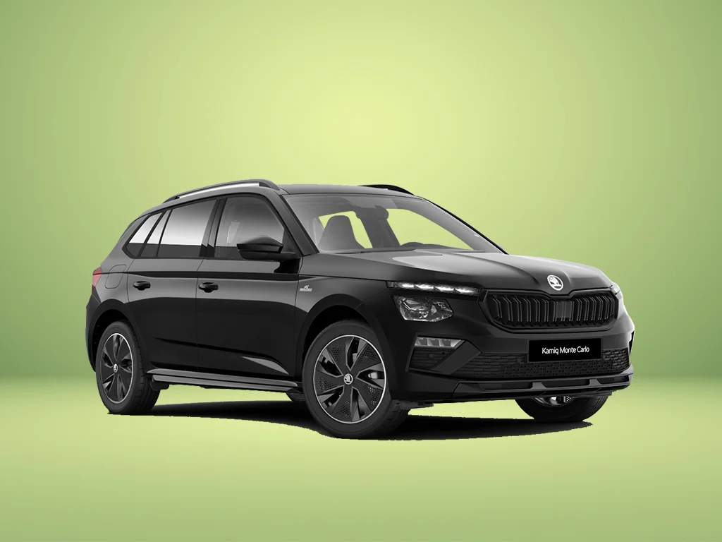 Kamiq MC Tageszulassung ohne.jpg