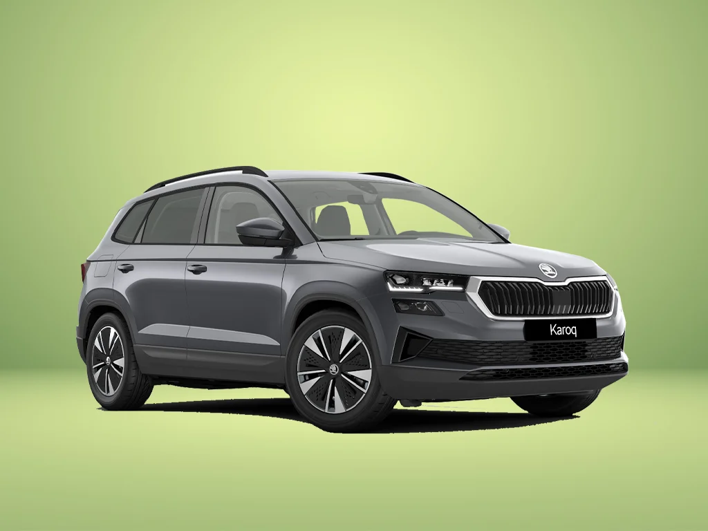 Karoq Tageszulassung ohne.jpg