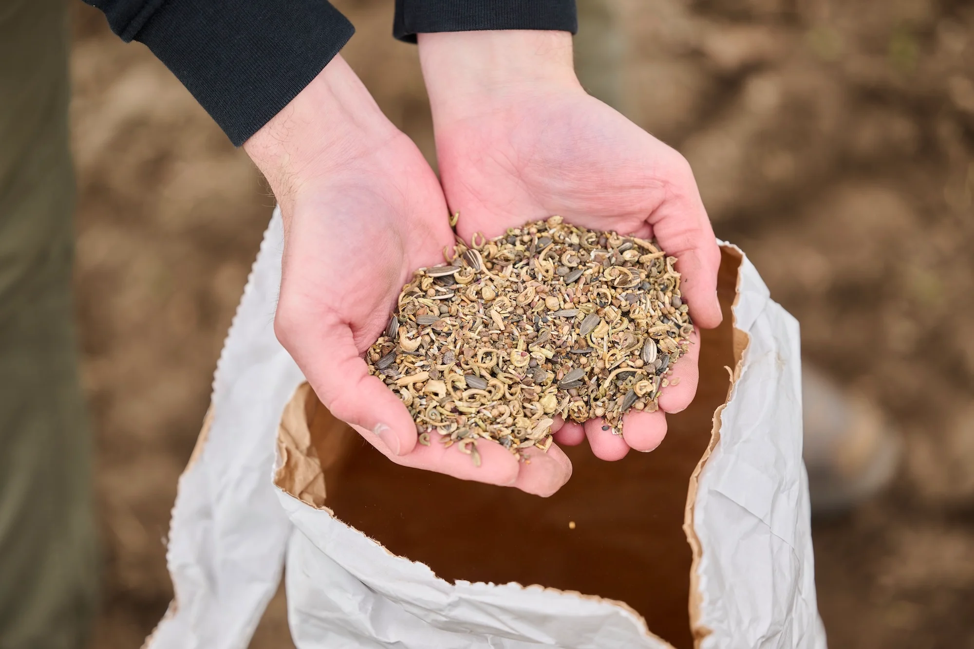Eine Handvoll Saatgut für die Blühwiese