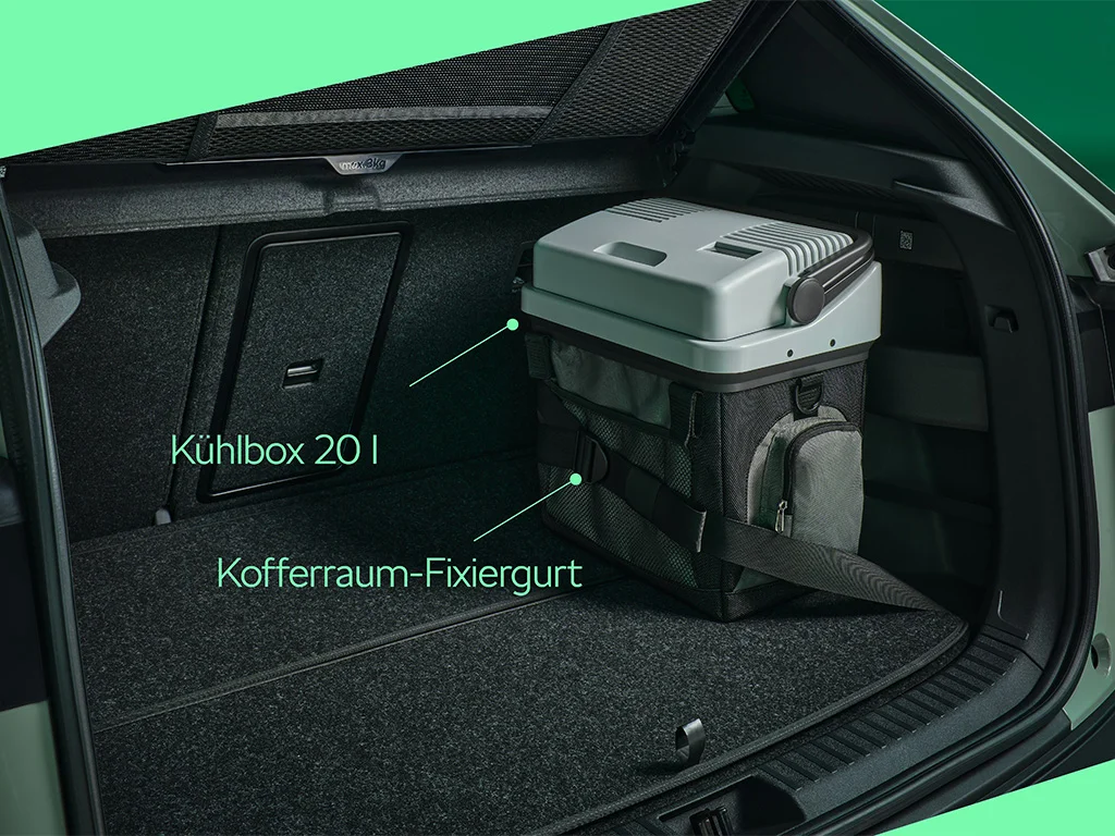 Kühlbox Skoda.jpg