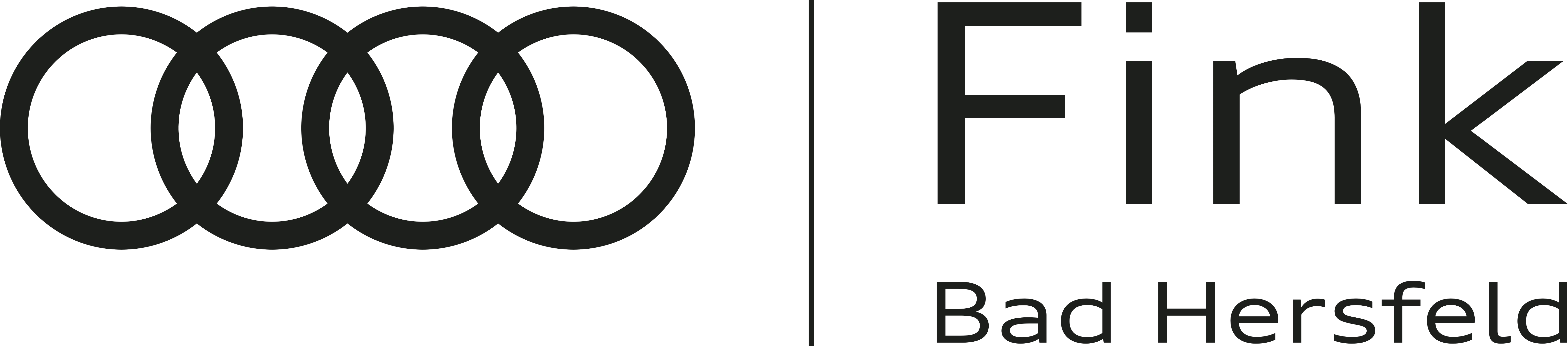 Logo_Audi Fink.png