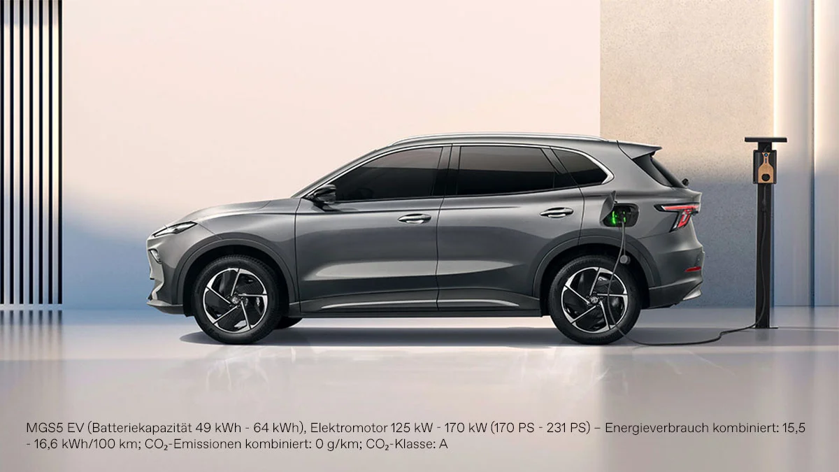 MGS5 EV Seitenansicht.jpg