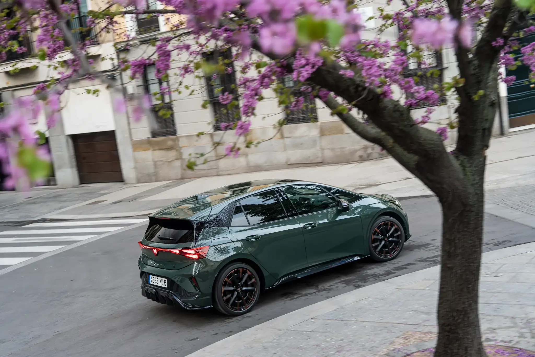 Grüner CUPRA Born VZ fährt durch eine urbane Straße mit blühenden Bäumen, sportlicher Heckansicht und markanter LED-Lichtsignatur.