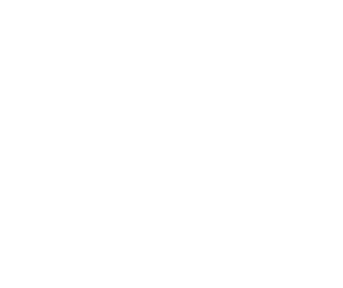 Nissan Logo weiß
