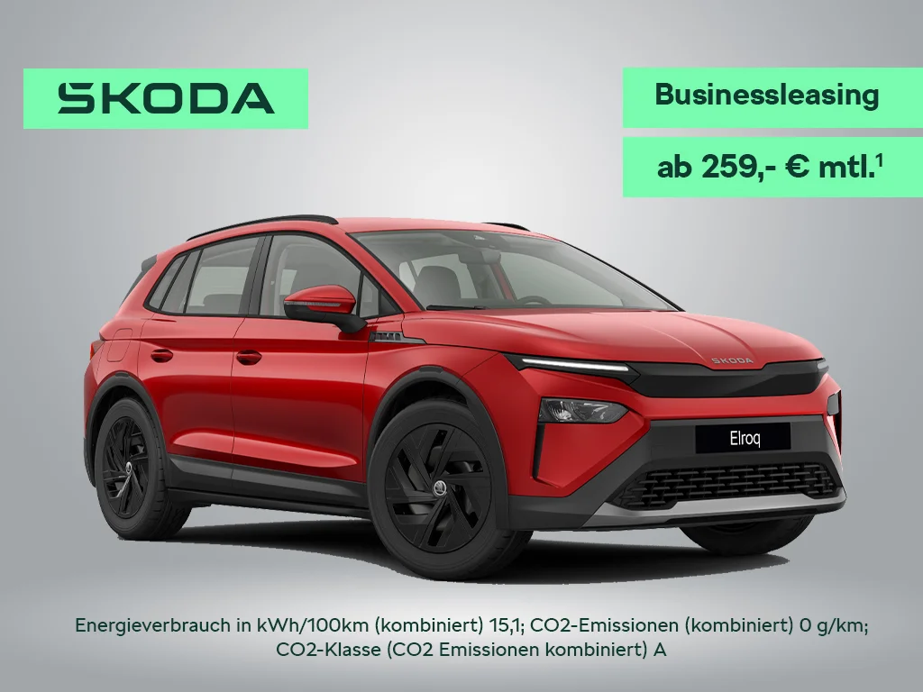 Skoda Elroq Business.jpg