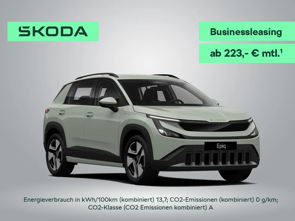 Skoda Epiq Business.jpg