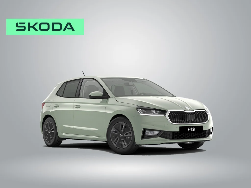 Skoda Fabia ohne.jpg