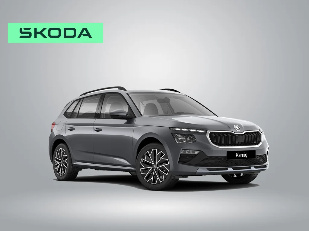 Skoda Kamiq ohne.jpg