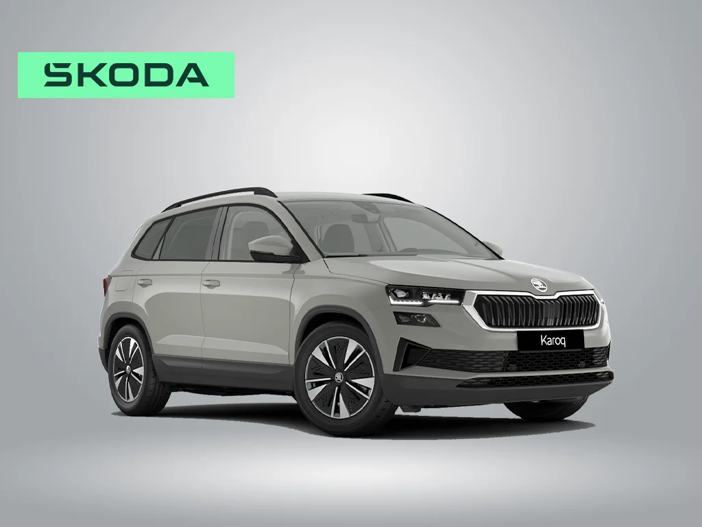Skoda Karoq ohne.jpg