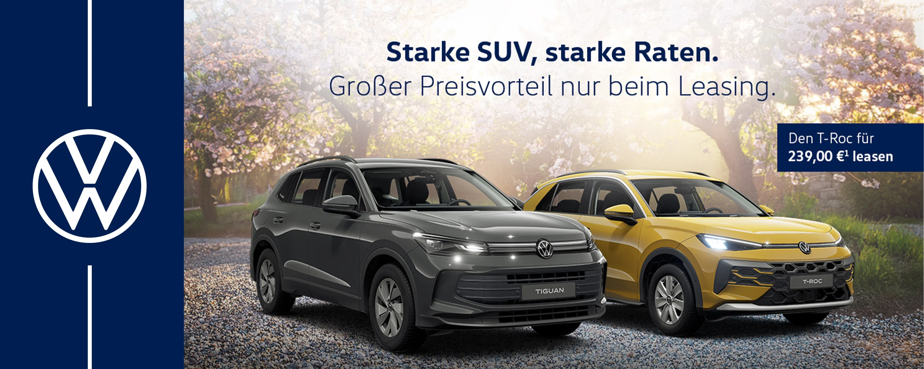 Störer VW Ti_Tr.jpg